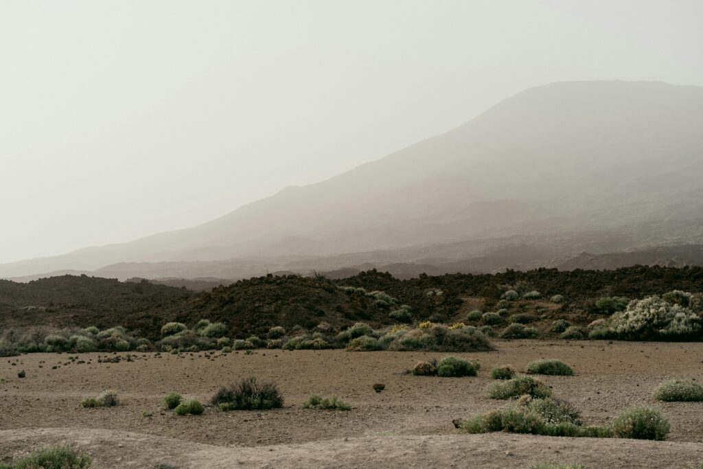 Serene desert scene with rugged mountains and sparse vegetation under a hazy sky.