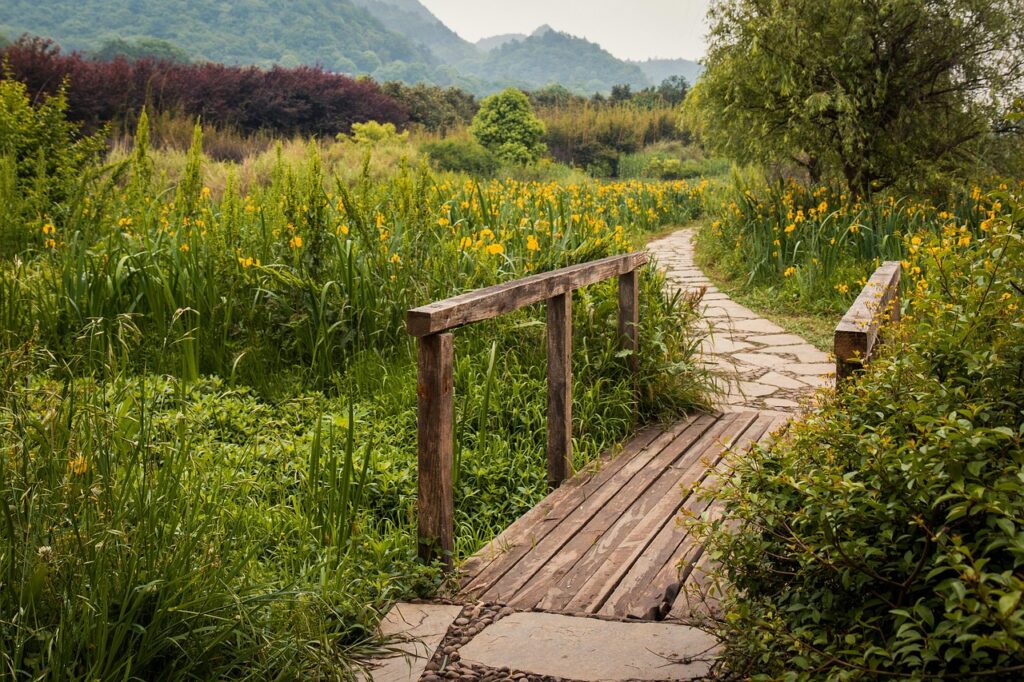 , meadow, , path, scenery, wooden bridge, bridge, , , , meadow, path, path, path, scenery, bridge, bridge, bridge, bridge, bridge