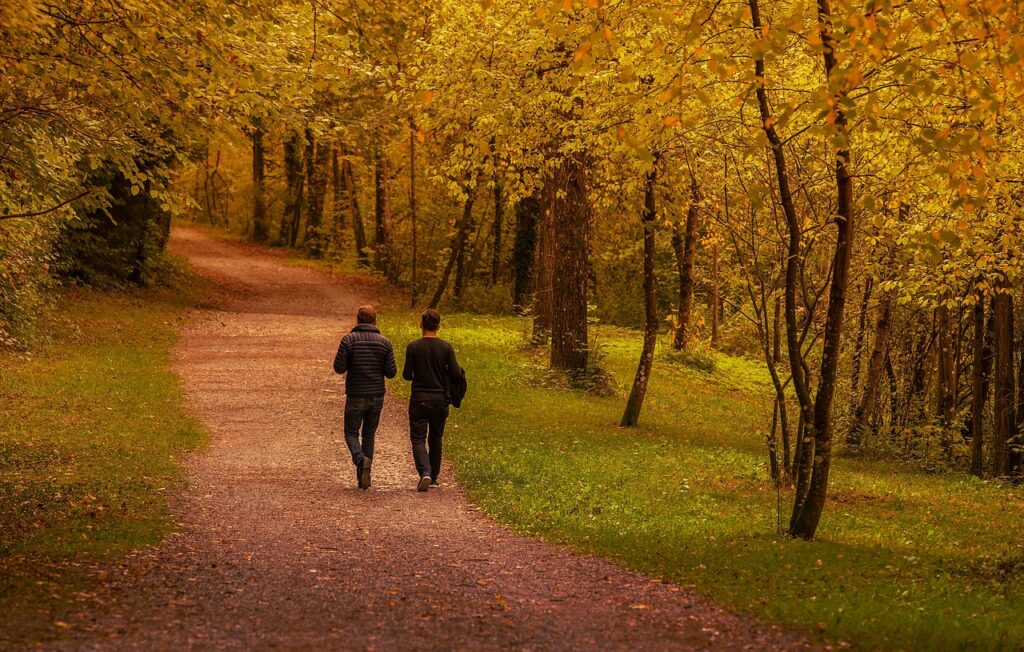 human, friends, men, portrait, forest, together, active, sports, nature, to stroll, talk, fall, orange, autumn colors, trail, walk, conversation, leisure time, tourism, hike